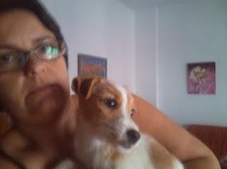 Cachorro esquelético, apenas se sostiene en pie, Badajoz.