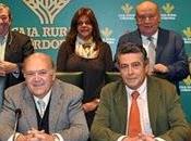 Constitución unión abonados aficionados taurinos córdoba