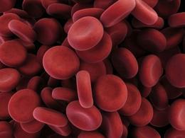 “Alquimia celular”: Piel transformada en sangre