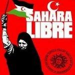 Sáhara Libre
