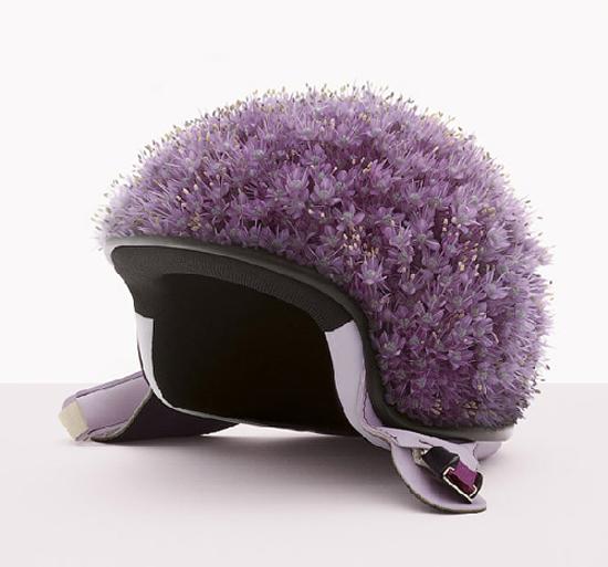 Foto de arte culinario