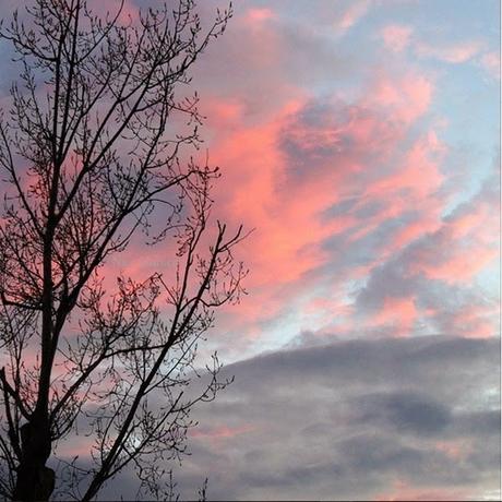 Instagram Favs