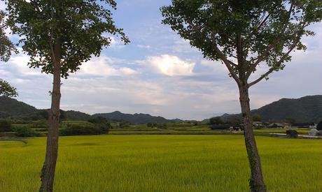 COREA DEL SUR: EL FESTIVAL DE MASCARAS EN HAHOE