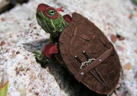 La realidad supera a la ficción en esta intensa semana