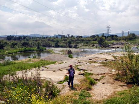 Camí del Llobregat. Baix Llobregat