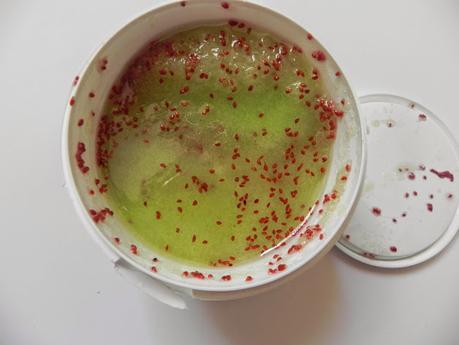 Cranberry & Lime: El exfoliante más fresco de Hadaly Fresh (Review)