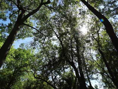 BENDITO Y MALDITO TIEMPO