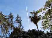 Bendito maldito tiempo