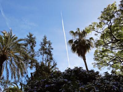 BENDITO Y MALDITO TIEMPO