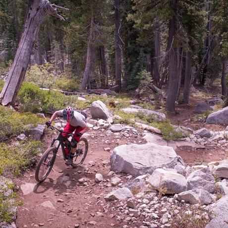 tumblr_nnolf1Fgob1u36o5so1_1280