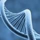 Descubren cuántos y qué genes se activan en cada órgano humano - El Comercio