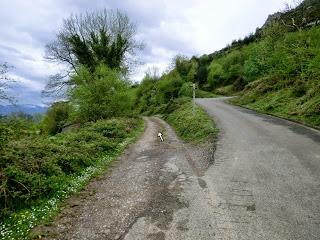 Val.le Peral-El Cogul.lu-El Picu la Campona
