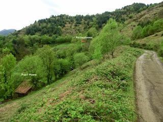 Val.le Peral-El Cogul.lu-El Picu la Campona