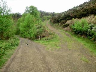 Val.le Peral-El Cogul.lu-El Picu la Campona