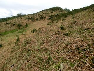 Val.le Peral-El Cogul.lu-El Picu la Campona