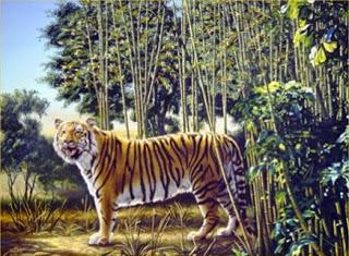 El reto de la semana (21): el tigre de bengala