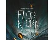 Reseña Flor Negra: cimbalo