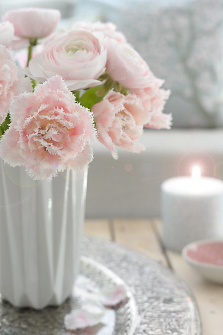 ranunkeln_tulpen_wunderschoen-gemacht