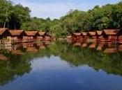 Visita Selva Peruana