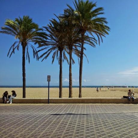 La Playa de la Malva-rosa