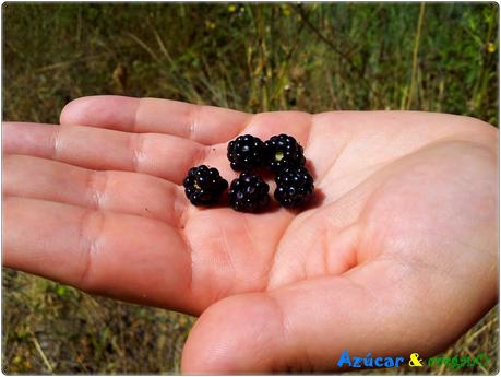 Mermelada de frutas del bosque