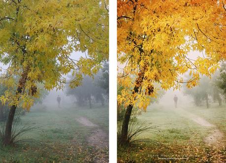 Aprender Photoshop curso online