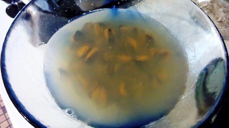 cavatellimejillonesalubias1