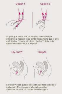 Producto decepcionante: Copa menstrual