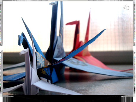 Desde 'Graná' con amor.