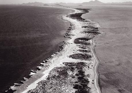 Los Puentes Vivientes de Cherrapunjee y la Manga del Mar Menor