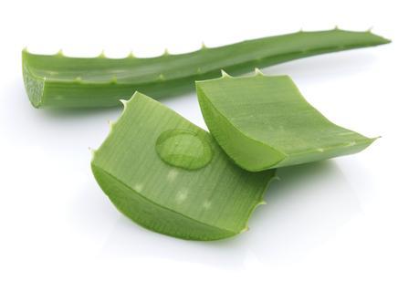 Secretos de belleza con aloe vera