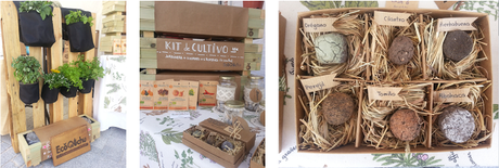 Botánica Insólita. Crónica 1ª Edición en Matadero Madrid Botánica Insólita. Crónica 1ª Edición en Matadero Madrid