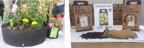 Botánica Insólita. Crónica 1ª Edición en Matadero Madrid Botánica Insólita. Crónica 1ª Edición en Matadero Madrid