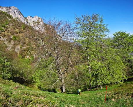 DE TAJADURA A LA REDONDINA (LA AGRESTE PEÑAMELLERA PARTE I)