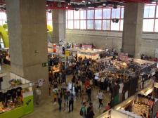 En Expomanga Madrid 2015 también hubo sitio para los videojuegos