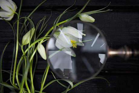 piso nordico decoración Pequeño piso diáfano diseños cocinas diseño interior diseñador interiores decorador interiores decoración nude blanco de interiores blog diseño interiores arquitectura interior 