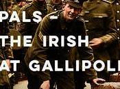 Irlandeses Galípoli (1915-1916)