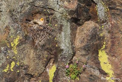 Regreso a Monfragüe