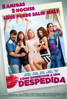 Póster: Cómo sobrevivir a una despedida (2015)