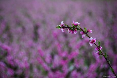 Destacar entre los demás