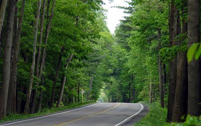 RESEÑA: El Cazador de Almas