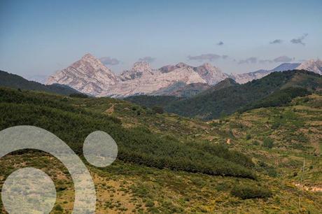 guia de los picos de europa 1