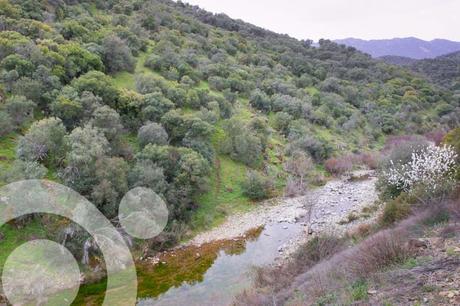 Un valle encantado vigilado por guardianes de pizarra … el valle de Alcudia IMG_4801