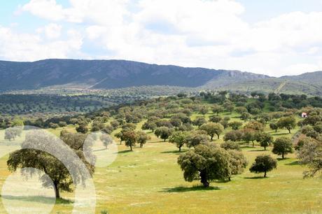 parque natural valle de alcudia y sierra madrona 1