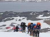 verdadero líder necesita son… otros líderes