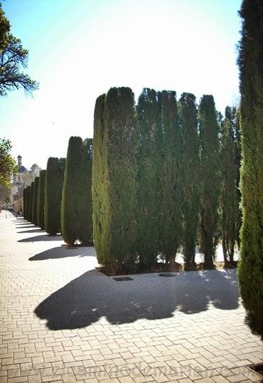 Las Hespérides, un jardín mitológico en Valencia