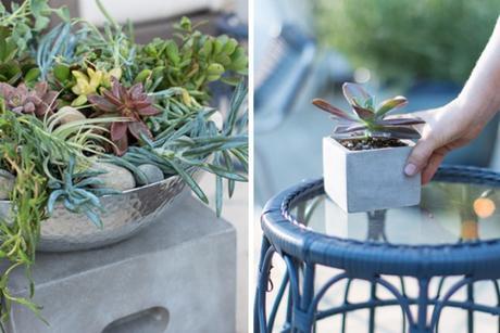 Una terraza a punto. Decora tu exterior con un toque de azul Outdoor_Patio_Succulents1