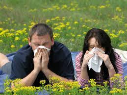 16 recomendaciones para que  no nos afecte la alergia al polen
