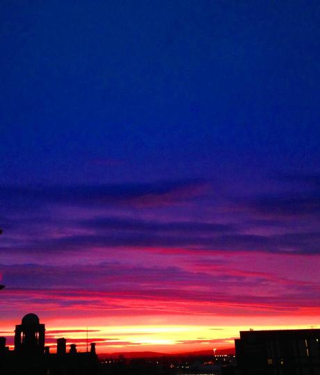 Reflejos vitales (Life reflections) 2a semana