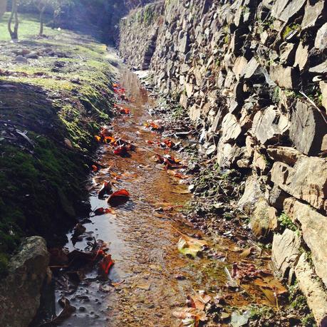 Reflejos vitales (Life reflections) 2a semana